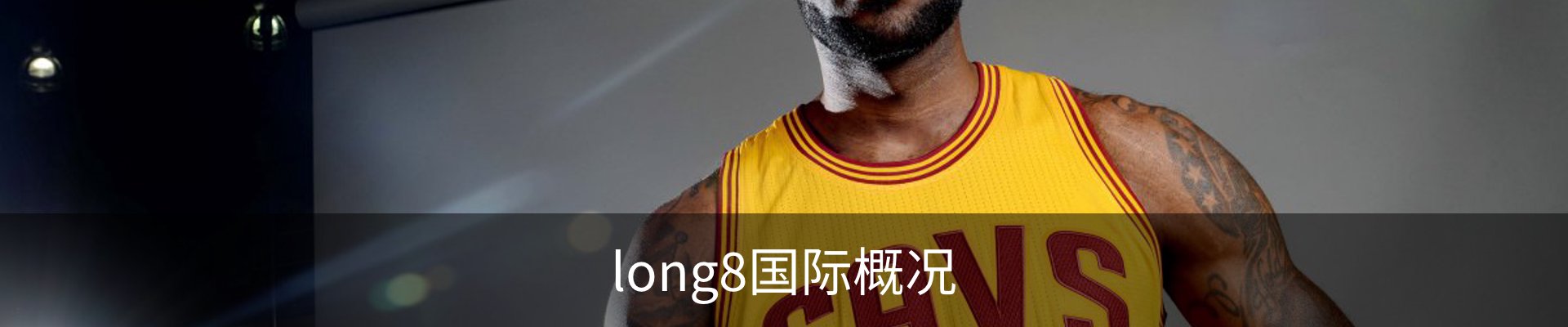 long8国际概况